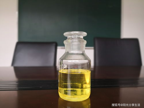 無醇植物油燃料技術配方,植物油燃料的缺陷